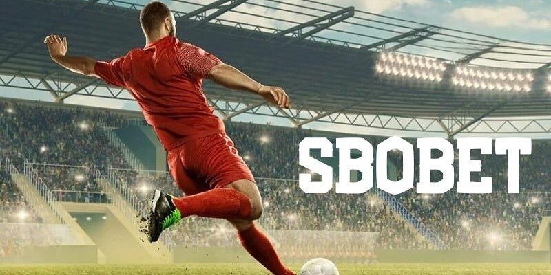 hotlive đăng nhập mậu binh uy tín