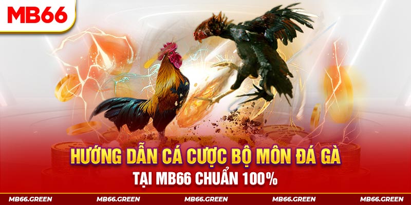 hotlive kết quả xổ số miền bắc ngày hôm nay