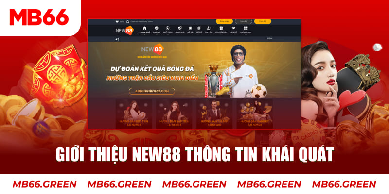 hotlive c1 gà chọi