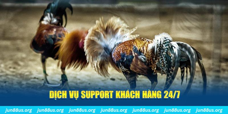 hotlive game xếp bài trên máy tính