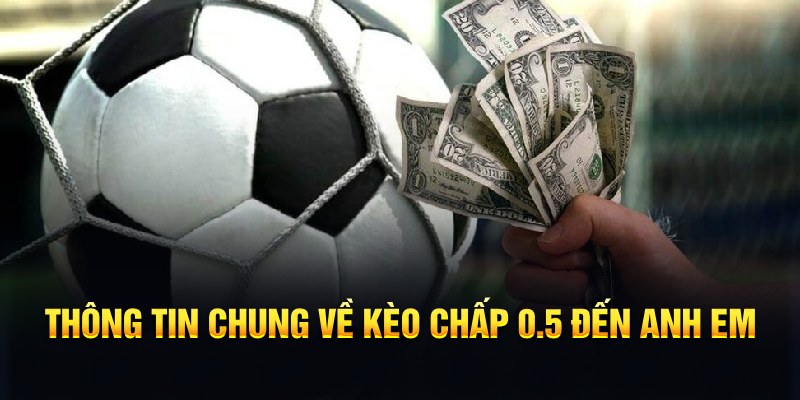 hotlive nổ hũ b29 là gì