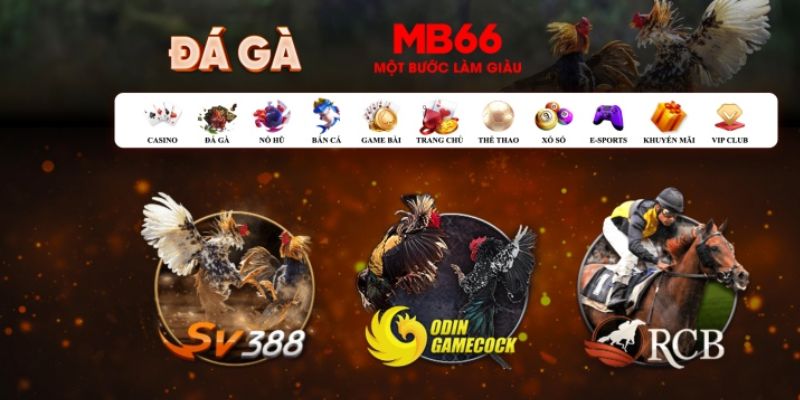 hotlive what is casino bonus wagering