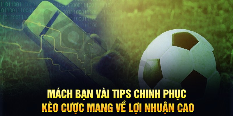 hotlive đăng nhập phỏm hàng đầu