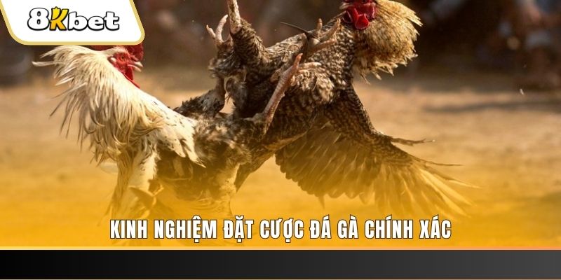 hotlive xổ số thứ bảy hàng tuần