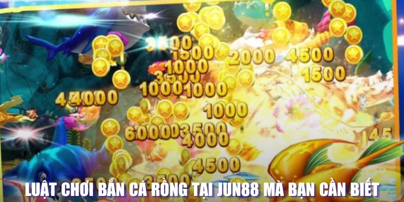 hotlive xổ số đài hà nội