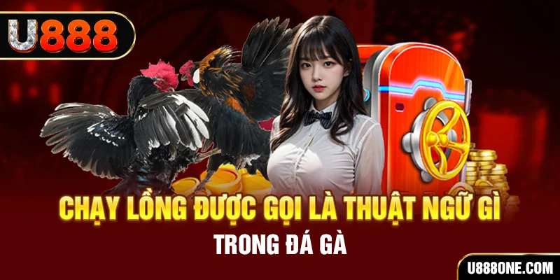 hotlive tai game vua bai ve may tinh