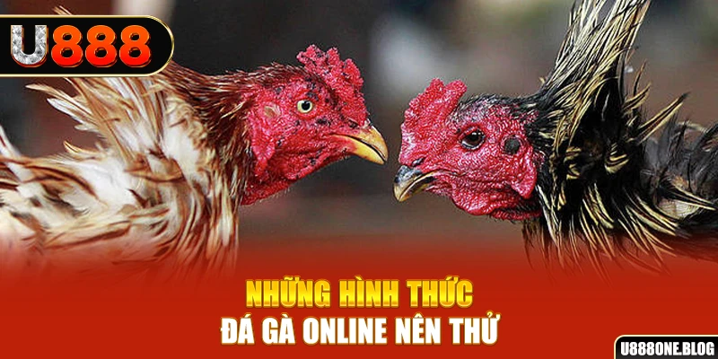 hotlive nổ hũ ai là gì