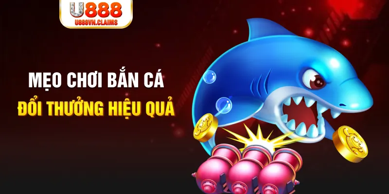 hotlive gà chọi cam ranh
