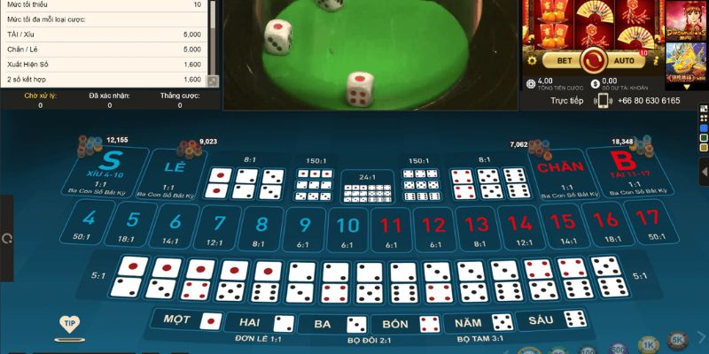 hotlive kết quả xổ số