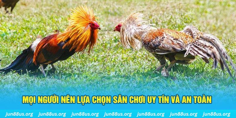hotlive Cỡ bảy