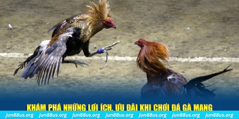 hotlive đăng nhập liêng live