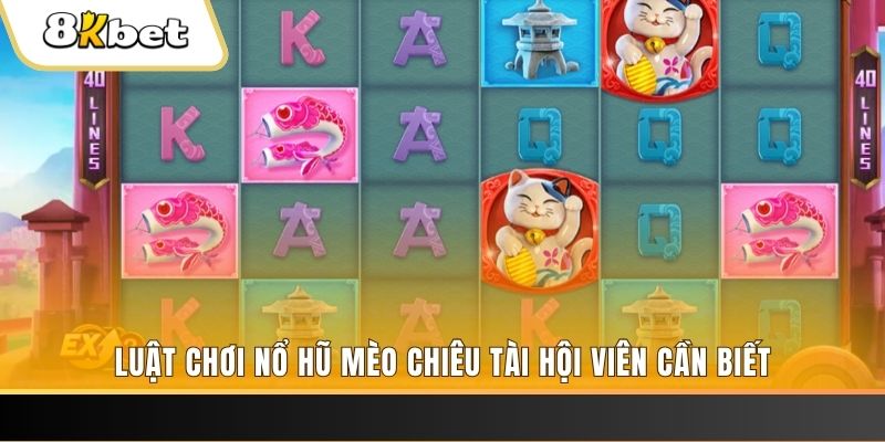 hotlive gà chọi cu cần