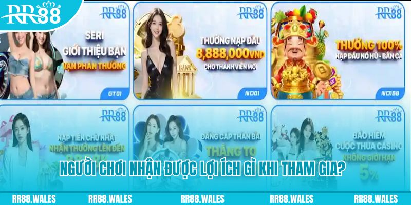 hotlive game máy bay cá cược