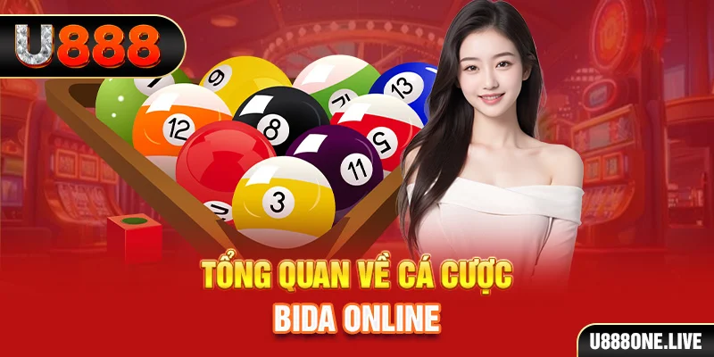 hotlive xem xổ số miền bắc