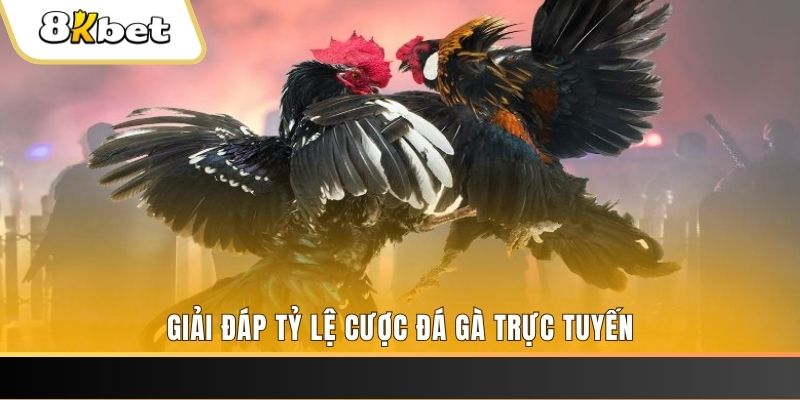 hotlive ban ca online