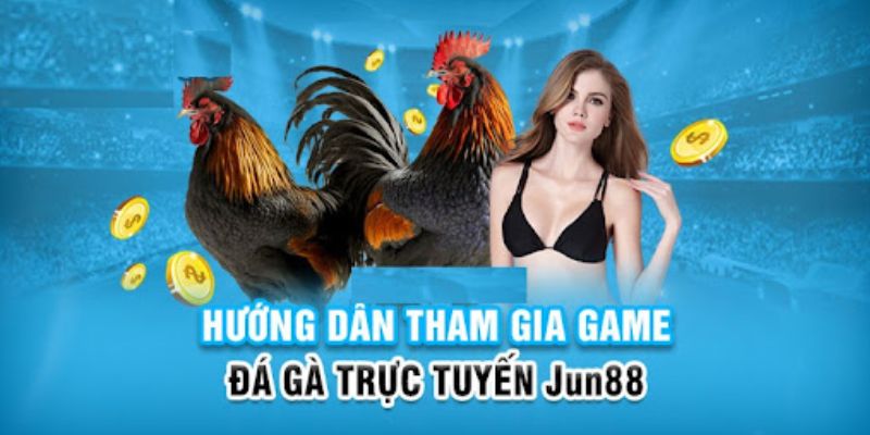 hotlive game cá cược máy bay