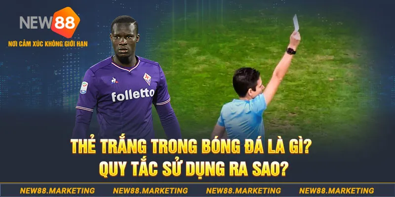 hotlive đăng nhập sòng bạc hôm nay