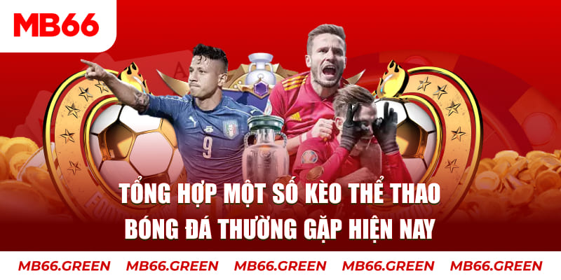 hotlive may tinh casino