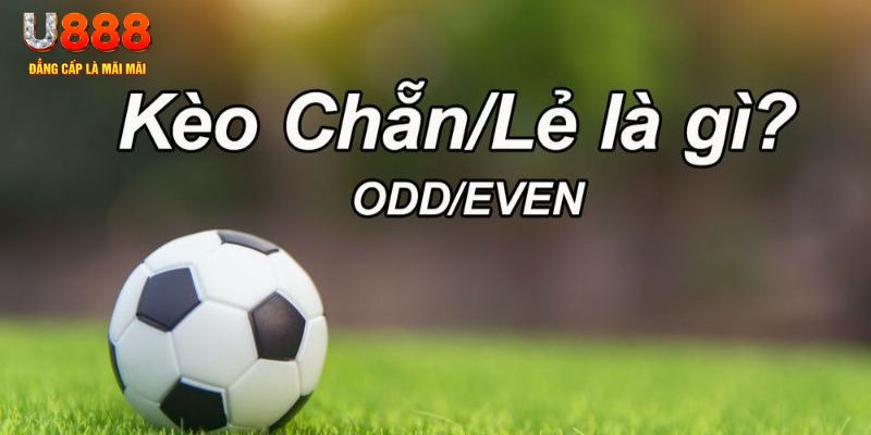 hotlive đăng nhập sòng bạc 2024