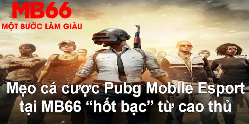 hotlive đăng nhập poker hàng đầu