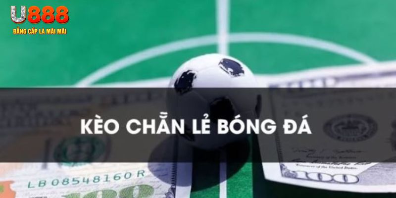 hotlive gà chọi c1.tv