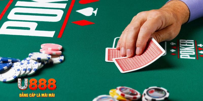 hotlive đá gà 88