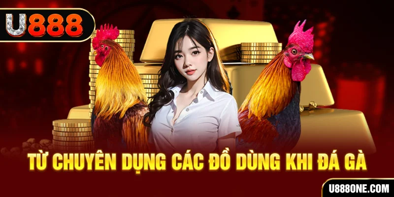 hotlive đá gà trực tiếp campuchia