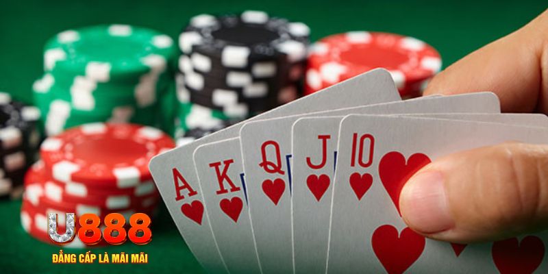hotlive đăng nhập phỏm uy tín